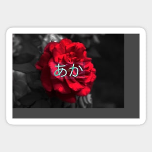 The Red Flower (Photography) Magnet